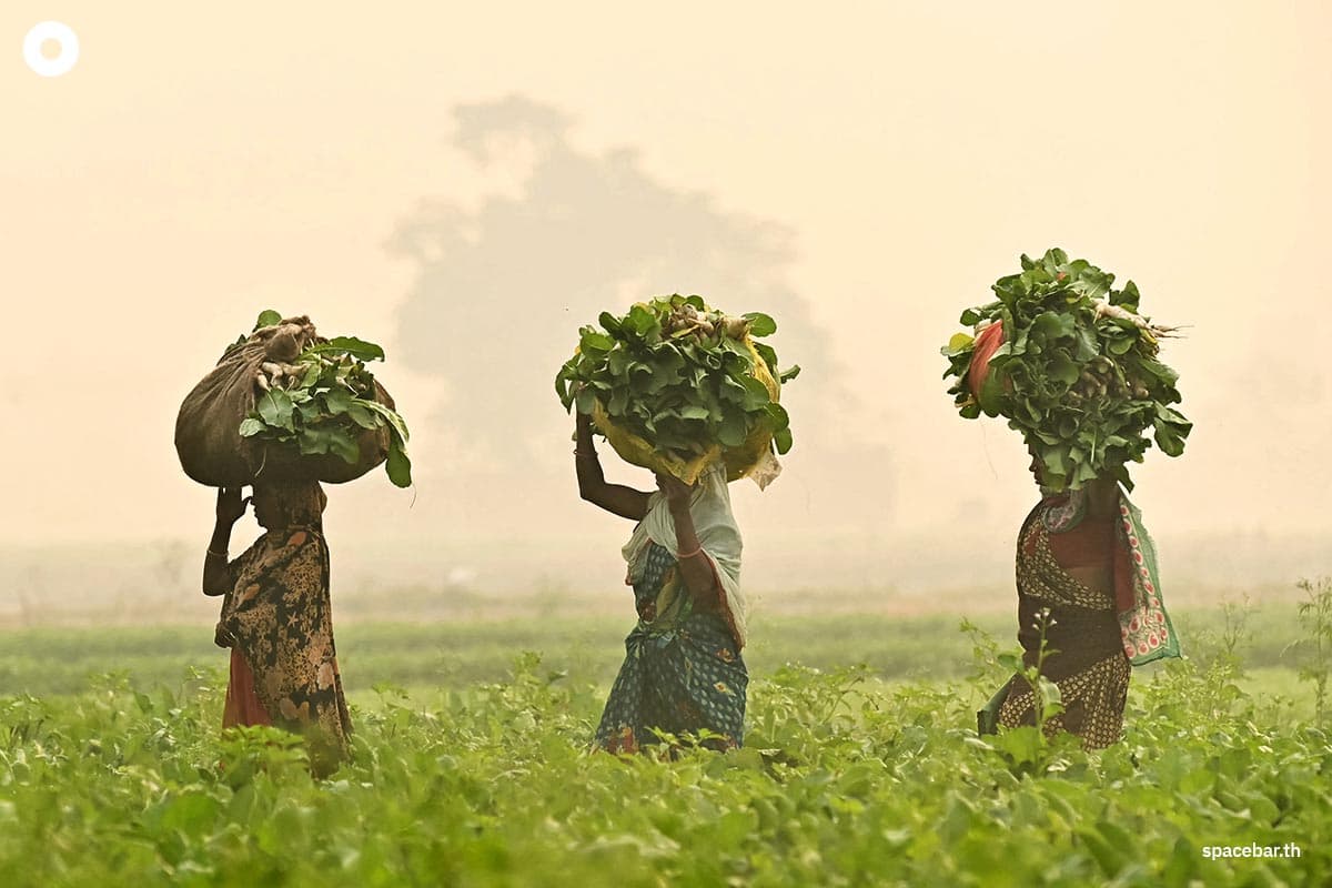 photo_story_india_pakistan_pm25_pollution_environment_SPACEBAR_Photo03_1_50793862a2.jpg