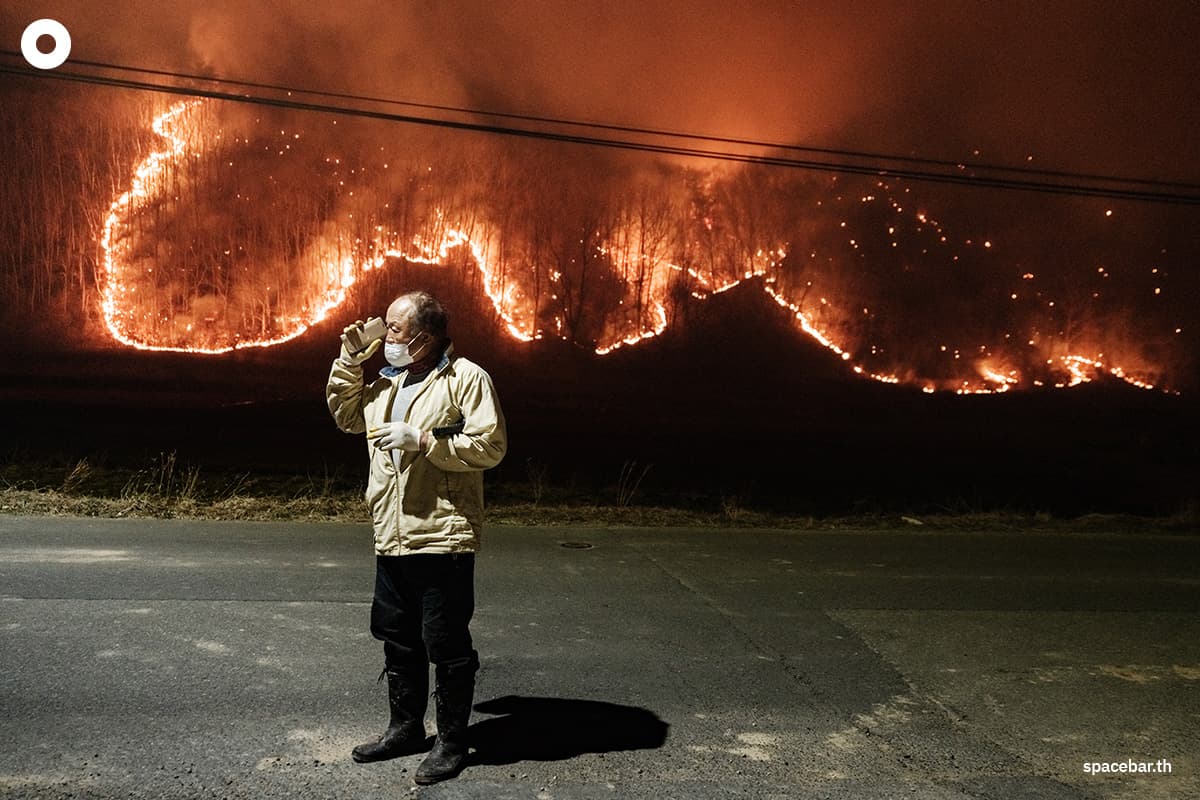 photo_story_south_korea_largest_wildfires_in_history_SPACEBAR_Photo05_80ae10eb35.jpg