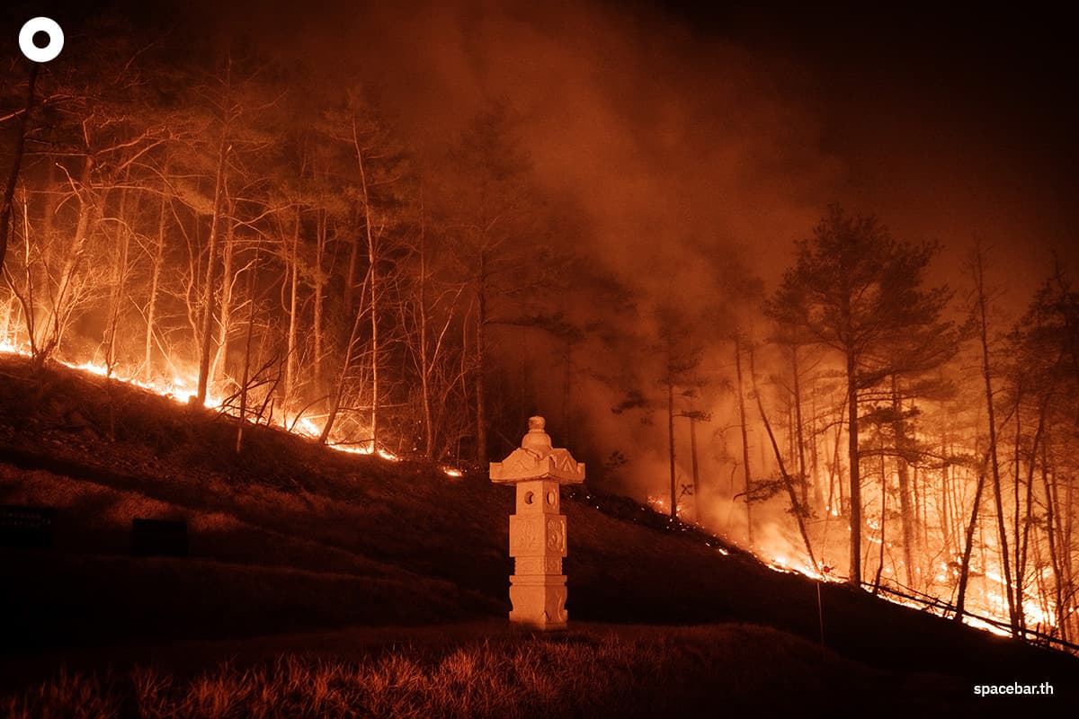 photo_story_south_korea_largest_wildfires_in_history_SPACEBAR_Photo06_839a8f5253.jpg