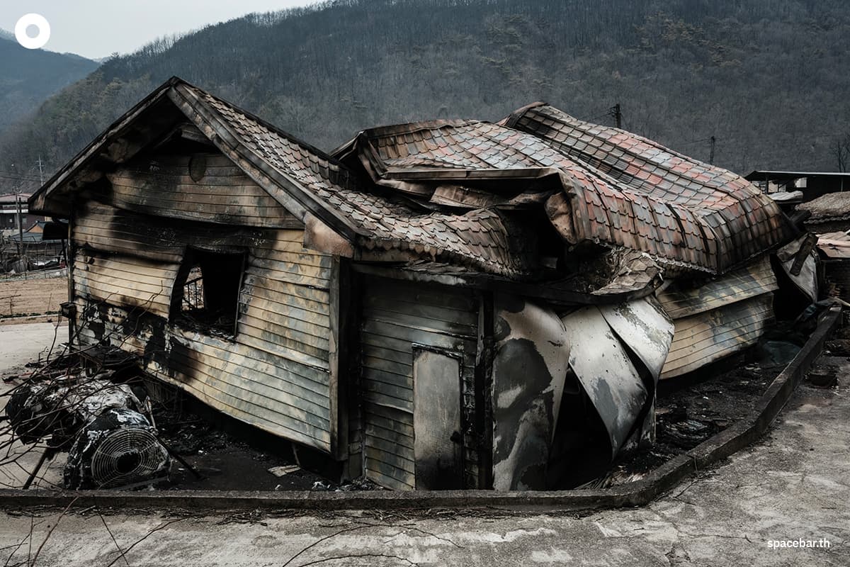 photo_story_south_korea_largest_wildfires_in_history_SPACEBAR_Photo10_0080d3ae38.jpg