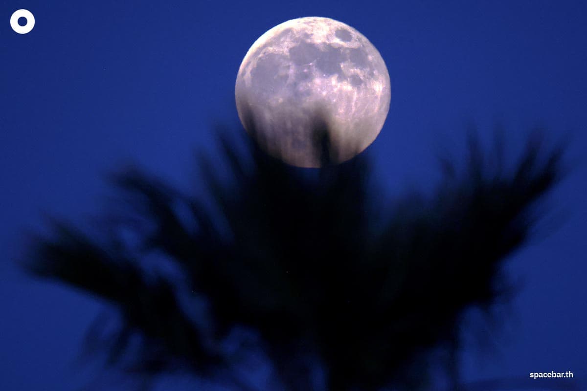 photo_story_super_full_moon_around_the_world_SPACEBAR_Photo09_ecc4b816c3.jpg