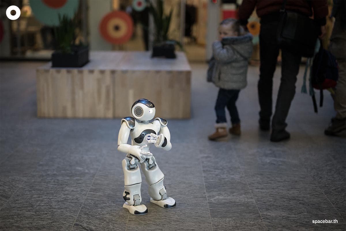 photo_story_swiss_nursery_lets_robot_do_the_talk_nao_SPACEBAR_Photo04_da848096c9.jpg