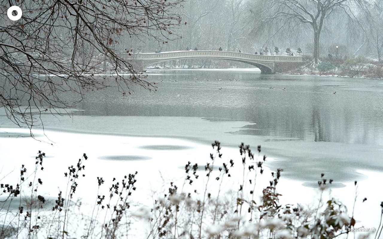 photo_story_us_winter_storm_snow_polar_vortex_SPACEBAR_Photo06_fc96605c11.jpg