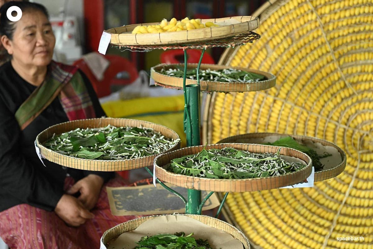 phumtham_nong_bo_silk_ubonratchathani_silkworms_Influencers_SPACEBAR_Photo02_eabe598c12.jpg