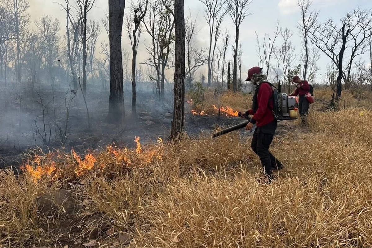 pm25-wildfire-thailand-forest-closure-urgent-measures-SPACEBAR-Photo03.jpg