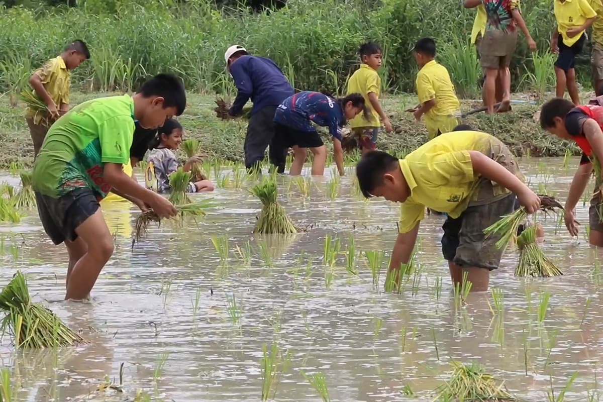 problem_of_Thai_children_falling_out_of_education_system_and_Thailand_Zero_Dropout_policy_SPACEBAR_Photo04_8d1f5bbad6.jpg