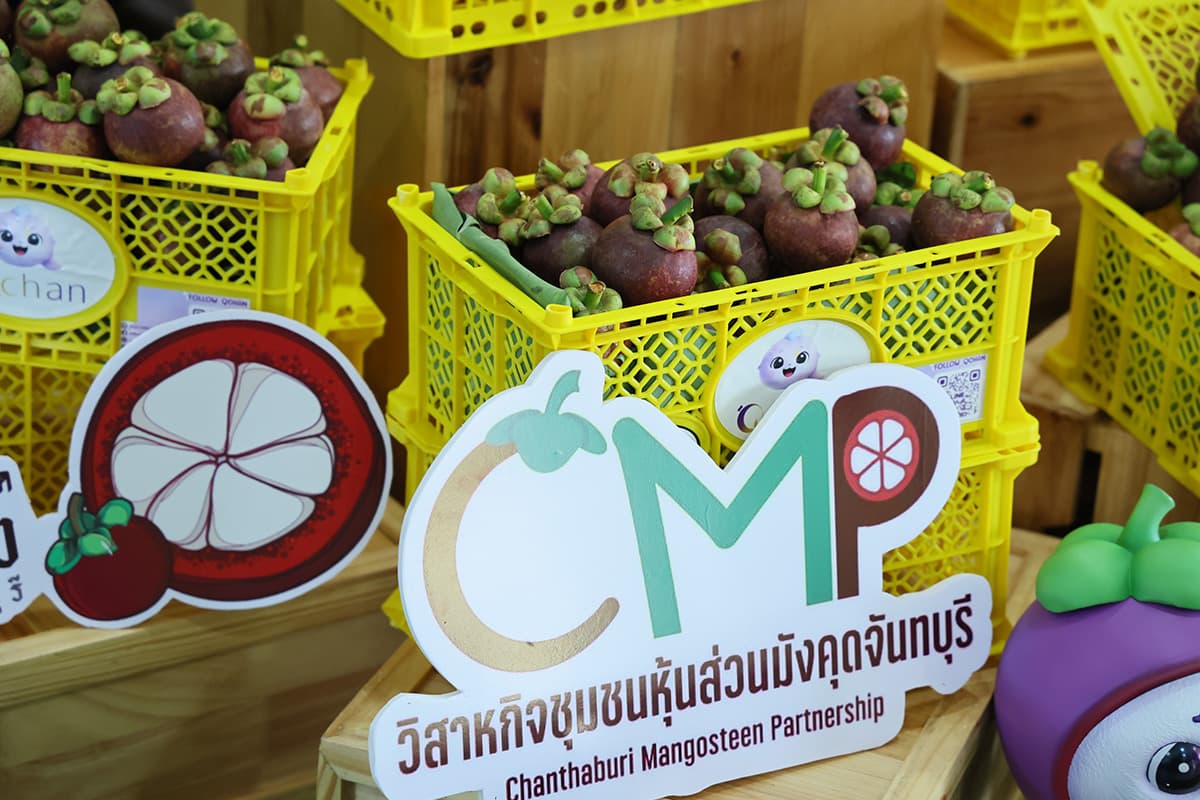 qchan-mangosteen-2569-SPACEBAR-Photo02.jpg