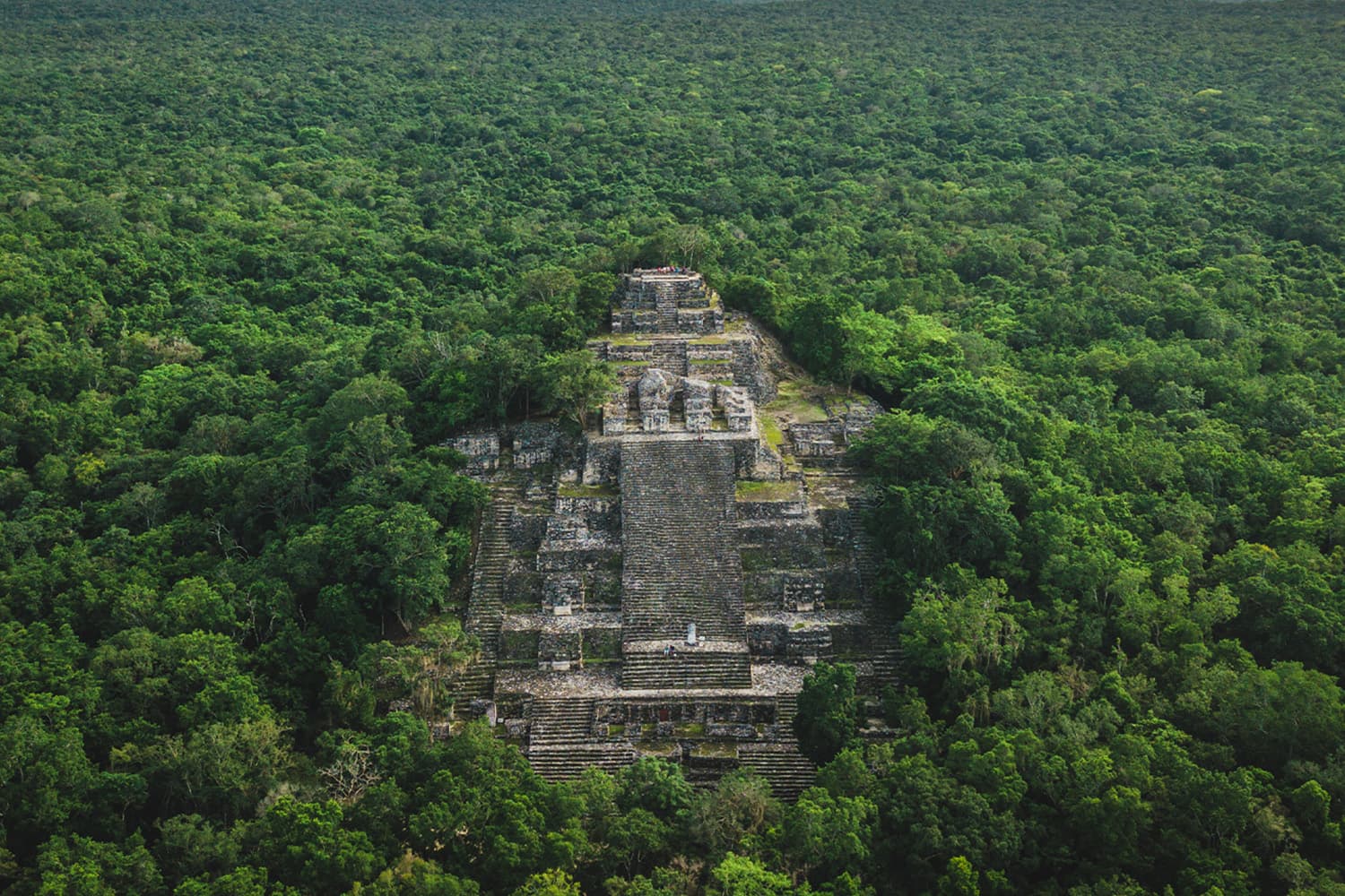 researcher_finds_lost_city_in_mexico_jungle_by_accident_SPACEBAR_Hero_0886ee0932.jpg