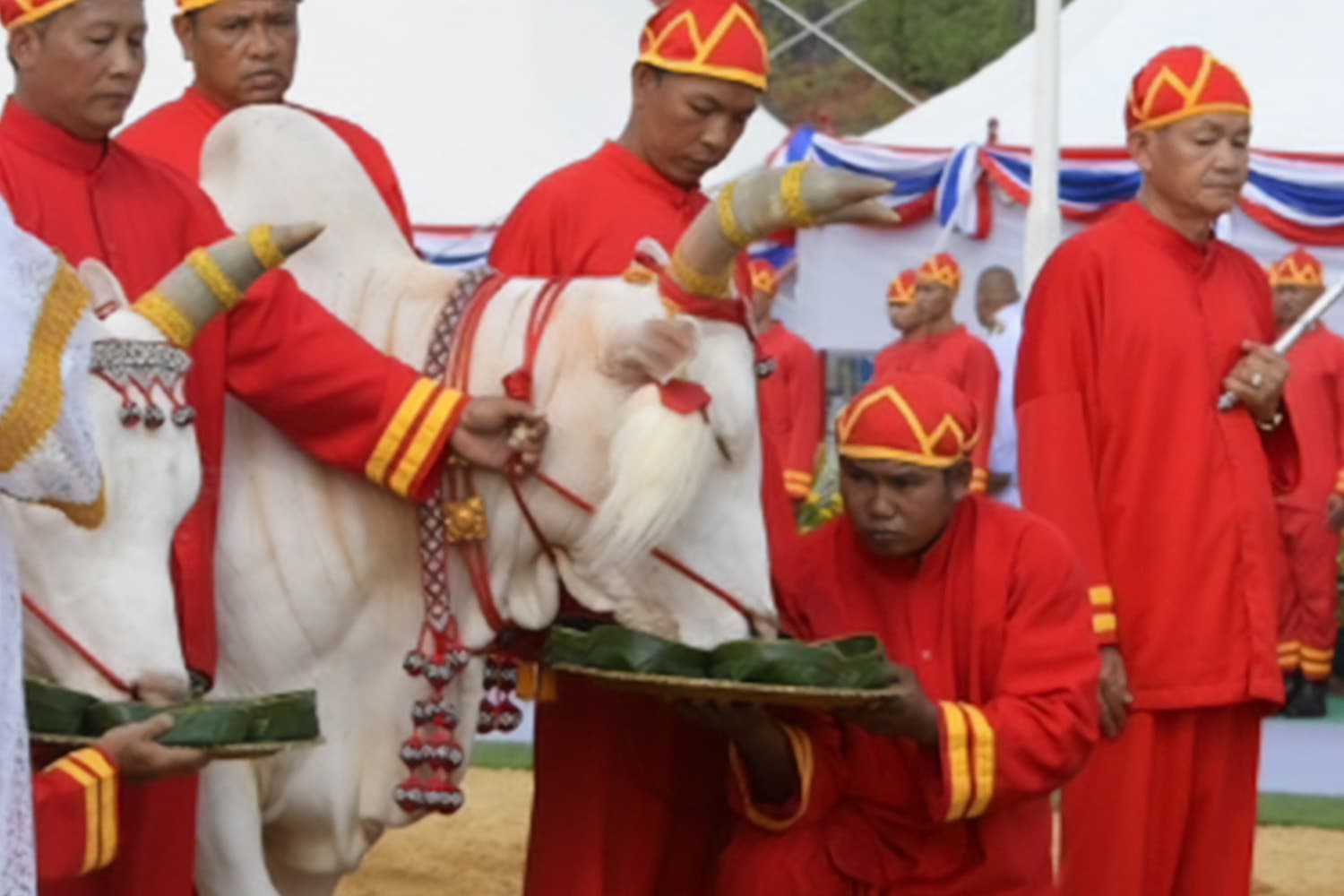 rice_plowing_2024_economy_forecast_cow_cloth_drink_water_liquor_SPACEBAR_Hero_c1fb1c86c1.jpg