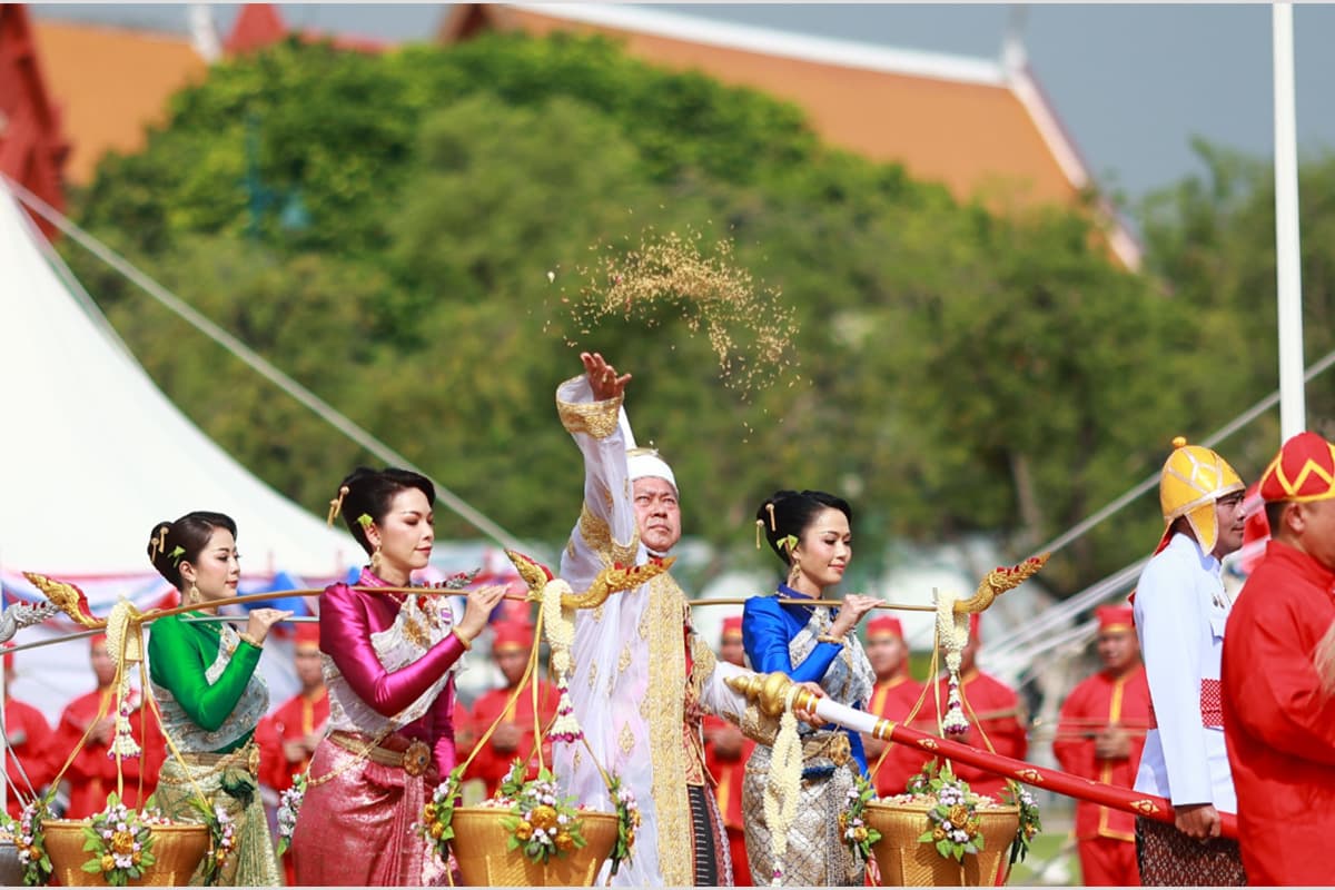 rice_plowing_2024_economy_forecast_cow_cloth_drink_water_liquor_SPACEBAR_Photo01_8b12fbe5bf.jpg