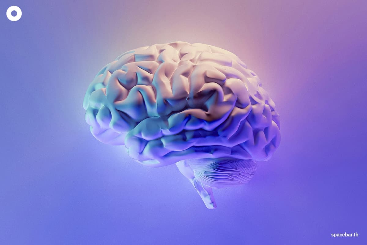 scientists_find_human_brain_grown_by_whopping_7_since_1930_iq_gone_backwards_SPACEBAR_Photo01_229a5f89ac.jpg