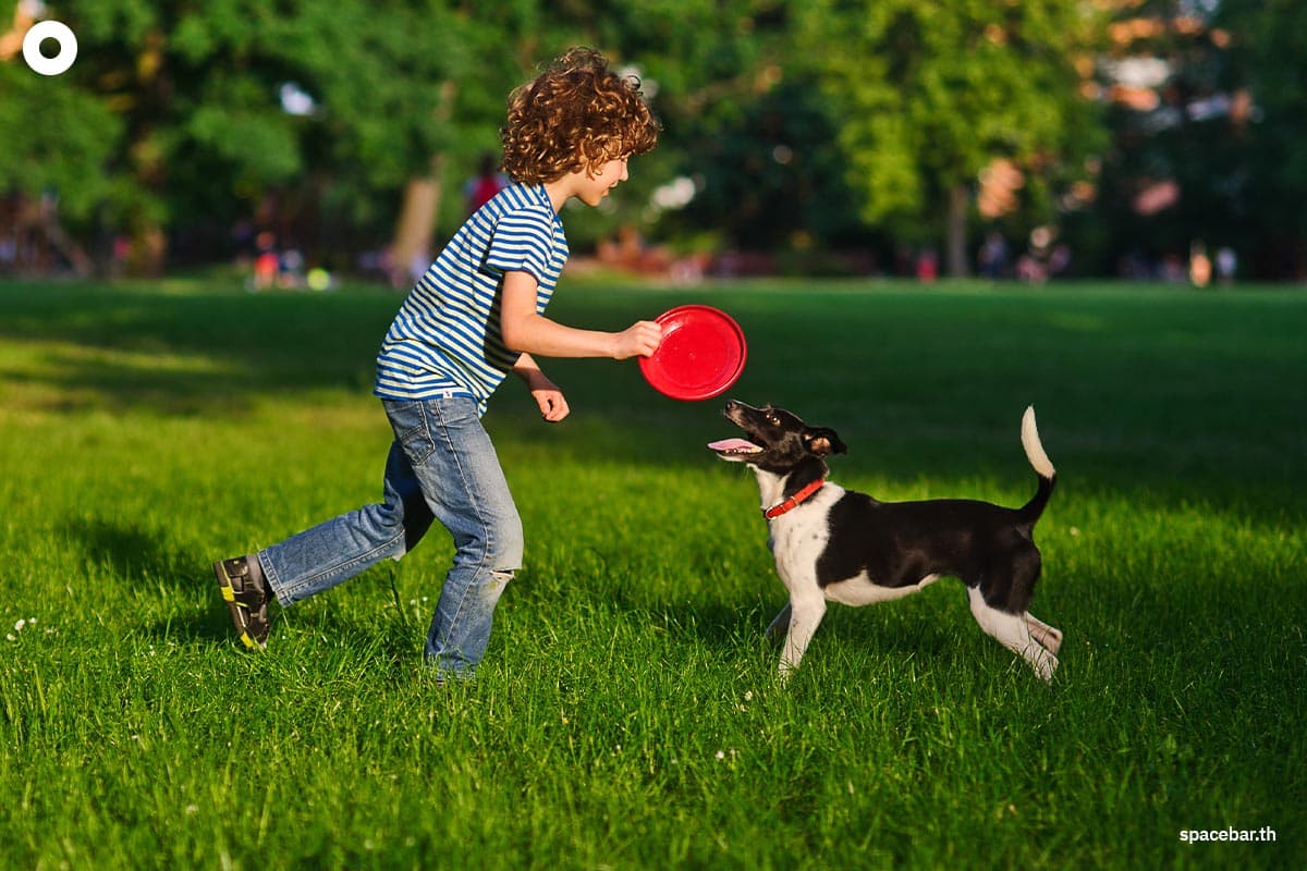 scientists_may_finally_know_why_dogs_wag_their_tails_SPACEBAR_Photo01_ae0d5d0809.jpg