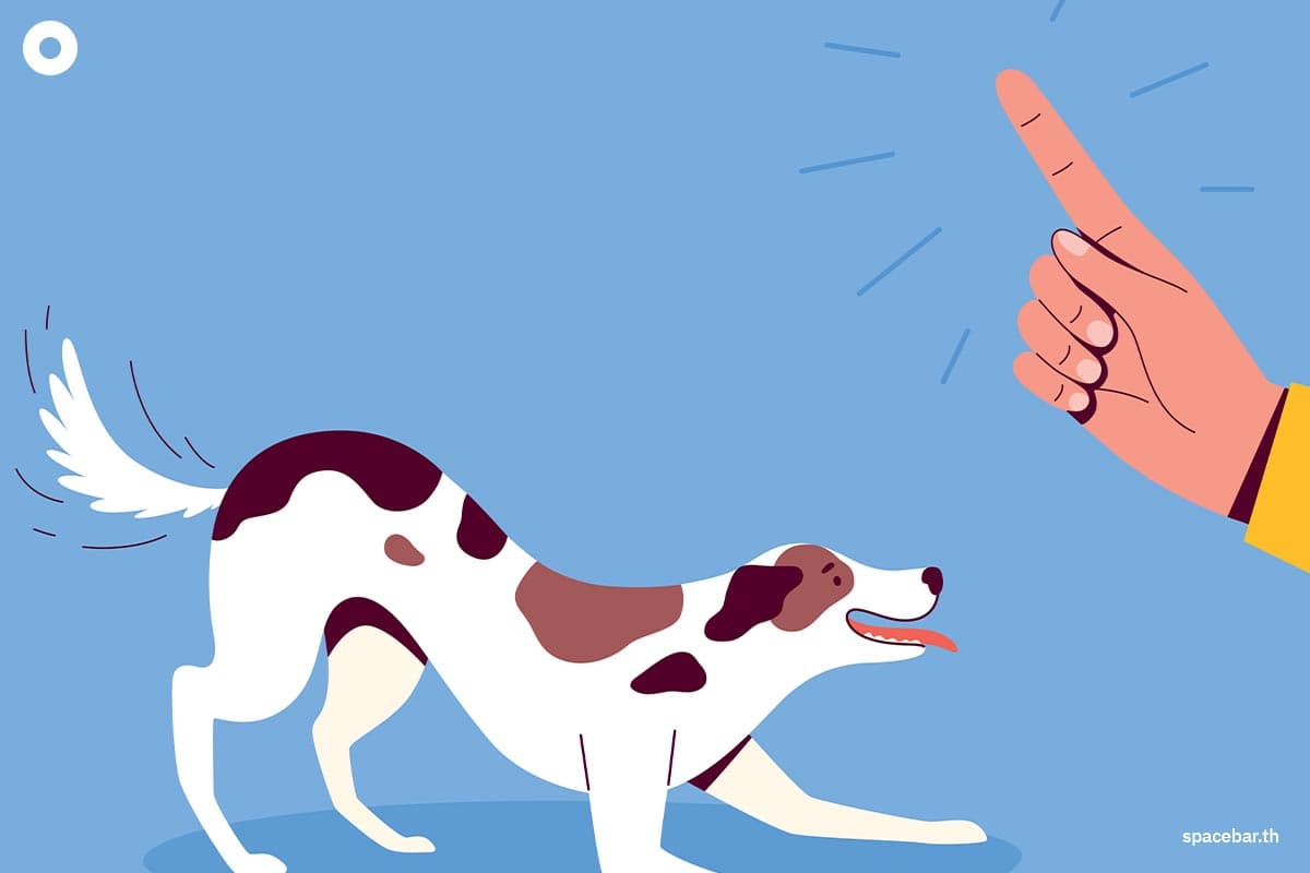 scientists_may_finally_know_why_dogs_wag_their_tails_SPACEBAR_Photo02_ab32111f60.jpg