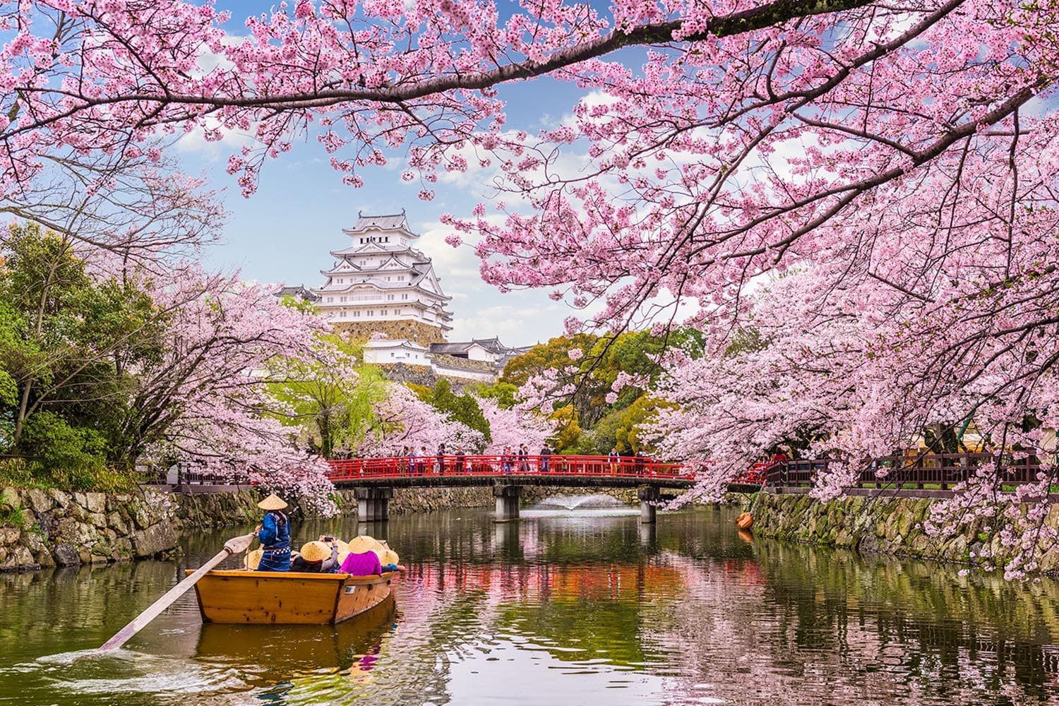 super_detailed_cherry_blossom_forecast_japans_2024_sakura_season_SPACEBAR_Hero_b4c7299663.jpg