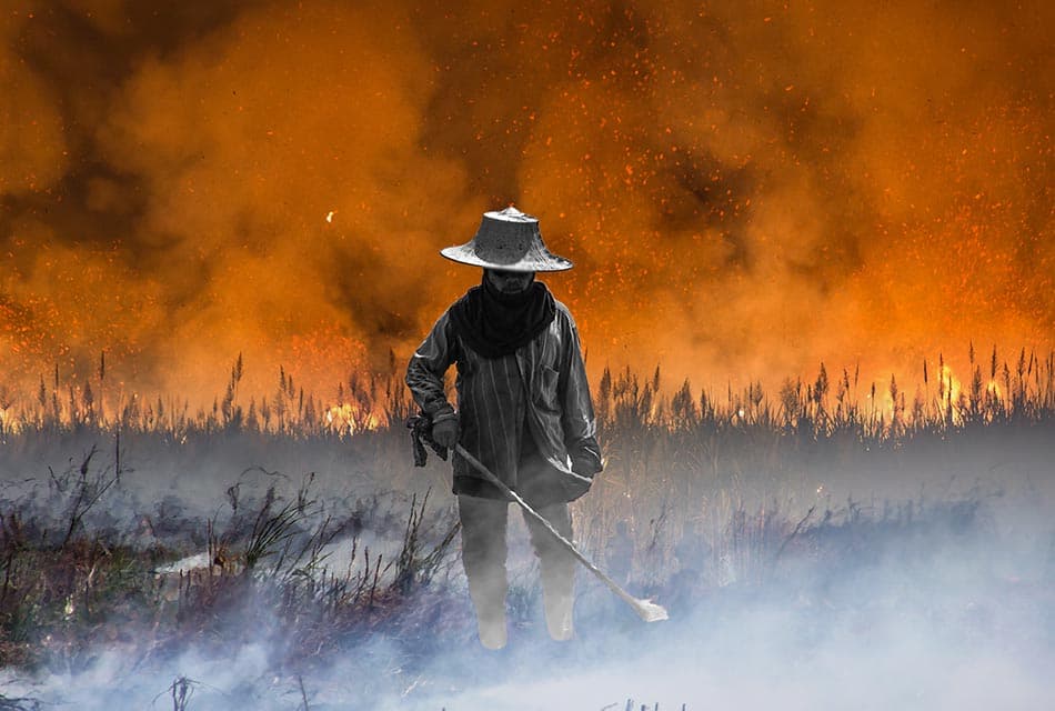 sustainability-agricultural-burning-3-8-million-rai-pm25-burning-ban-law-SPACEBAR-Thumbnail.jpg