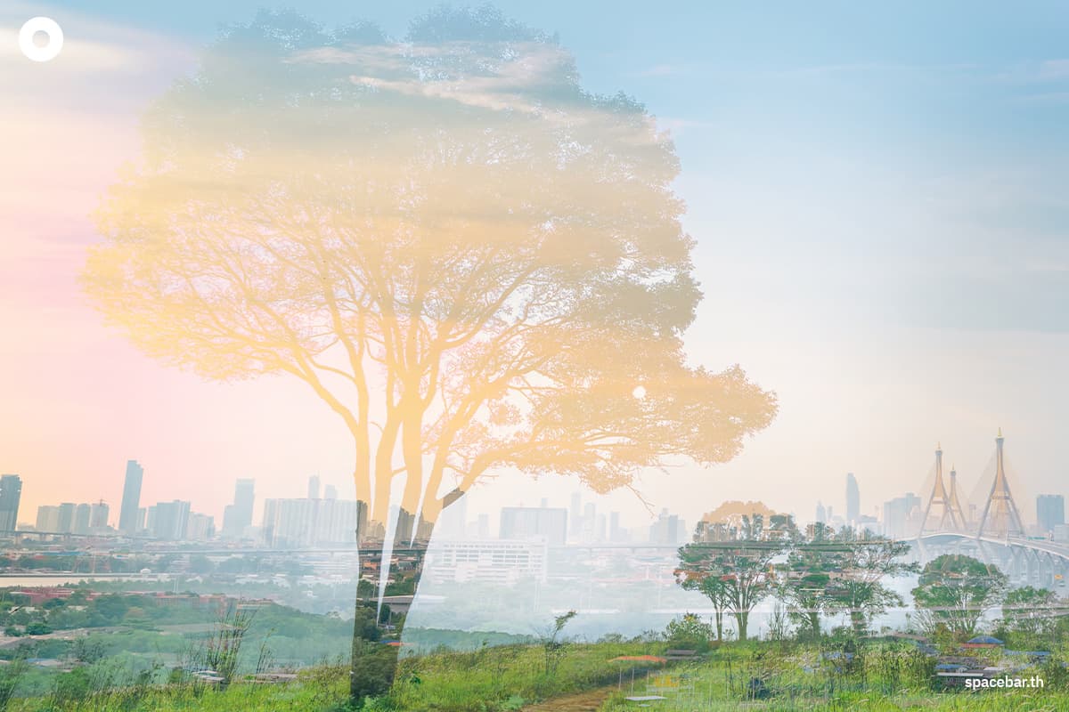 sustainability-cbam-and-the-climate-change-act-turning-point-for-thai-industry-SPACEBAR-Photo02.jpg