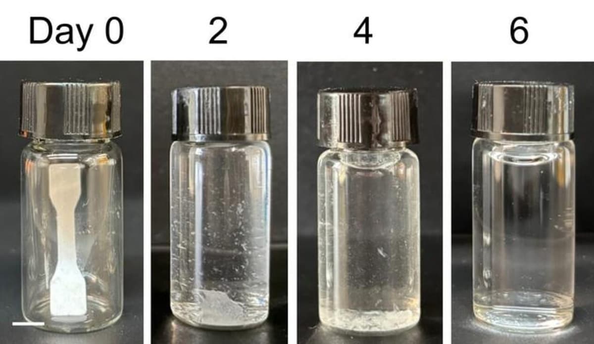 ภาพงานวิจัยซึ่งตีพิมพ์ในวารสาร ACS APPLIED POLYMER MATERIALS