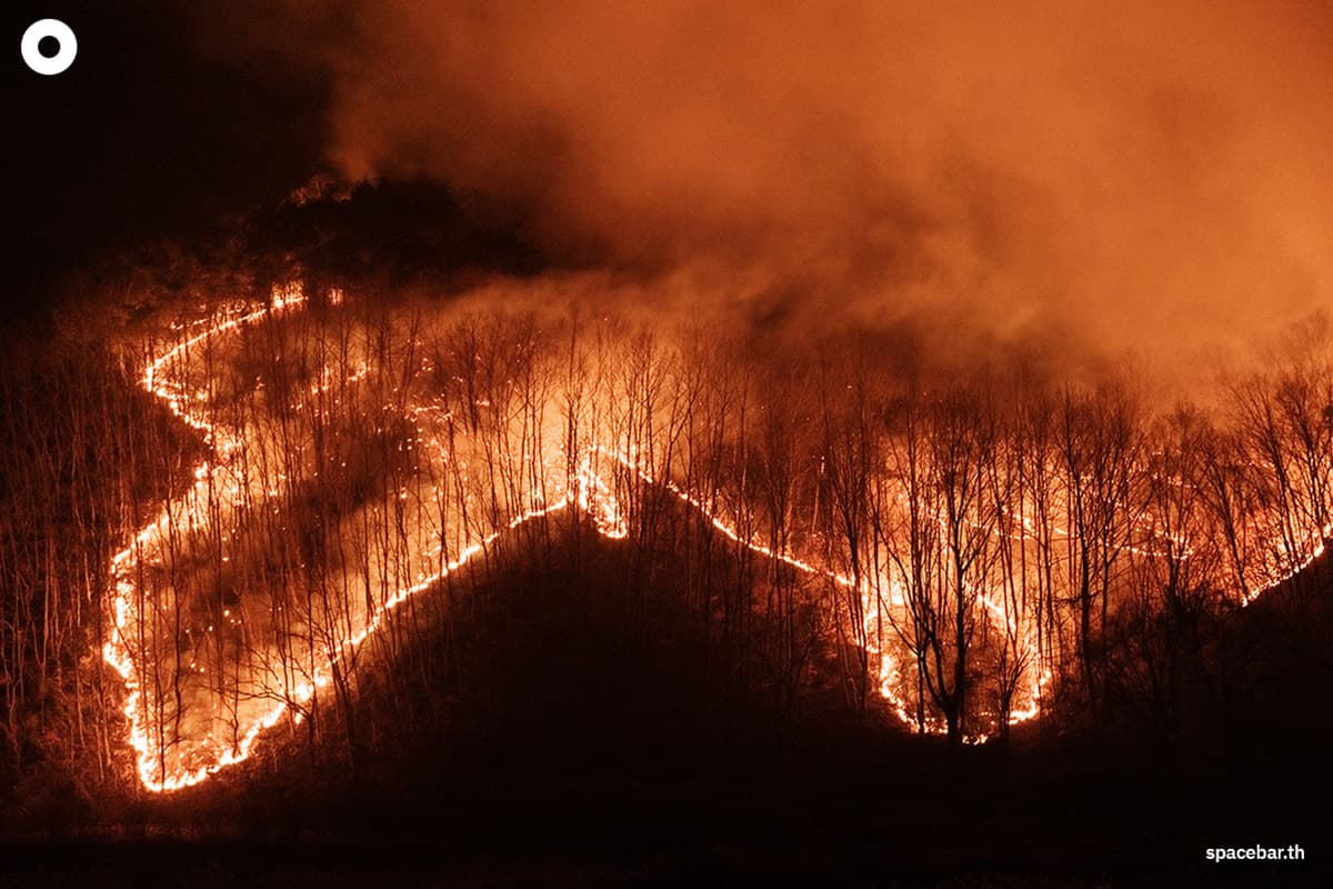 sustainability-natural-disasters-in-2025-the-impact-of-extreme-weather-SPACEBAR-Photo01.jpg