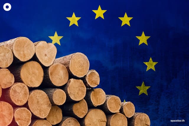 Low Risk Country ไทยกับตำแหน่ง Low Risk ในสายตา EU ก้าวใหม่ของเกษตรไทยบนเวทีโลกสีเขียว