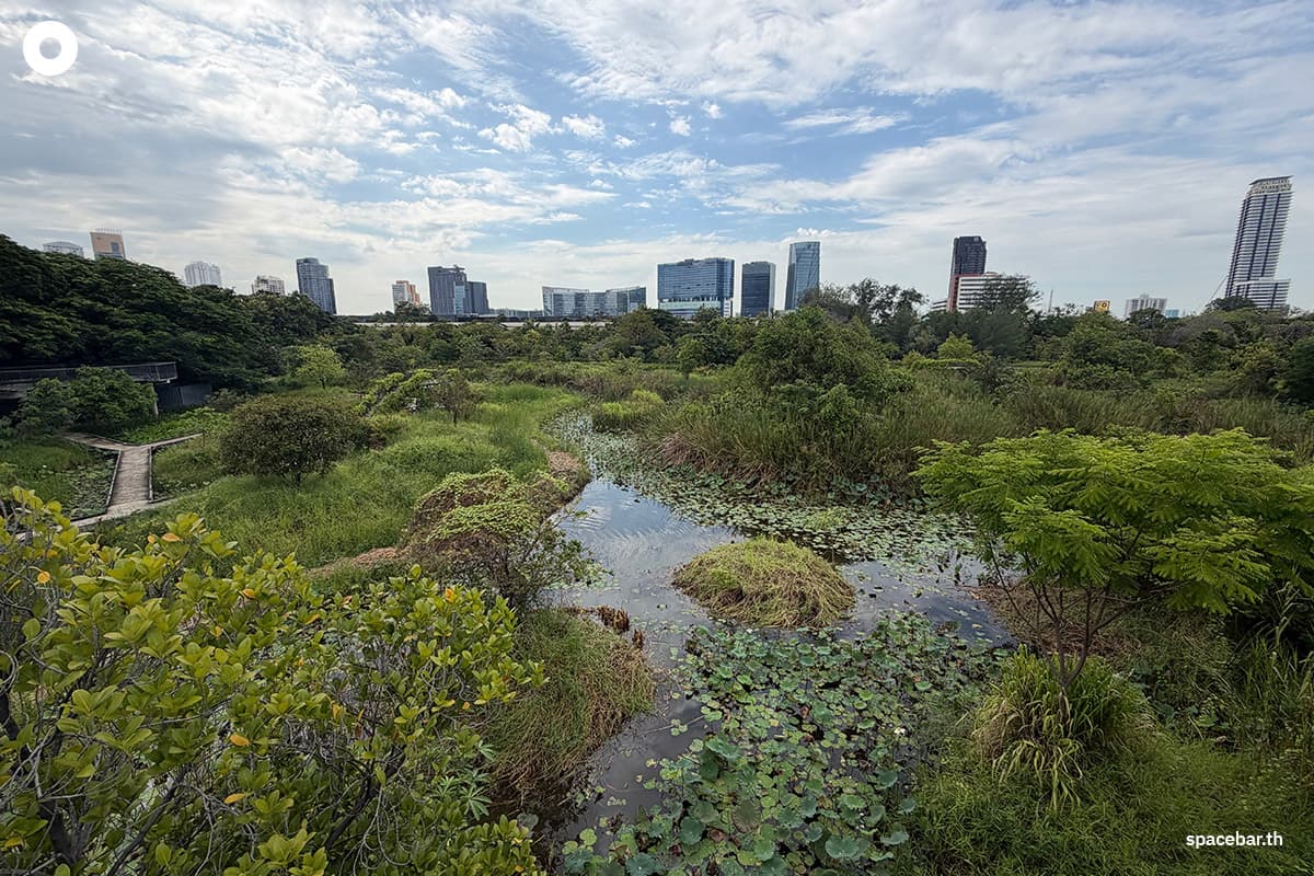 sustainability-wetlands-world-kidney-of-the-earth-world-wetlands-day-2-feb-SPACEBAR-Photo01.jpg