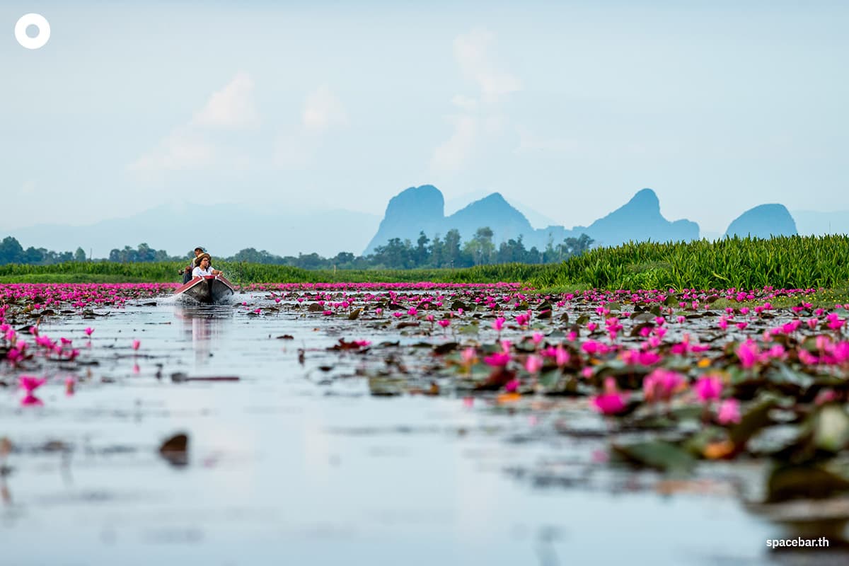 sustainability-wetlands-world-kidney-of-the-earth-world-wetlands-day-2-feb-SPACEBAR-Photo02.jpg