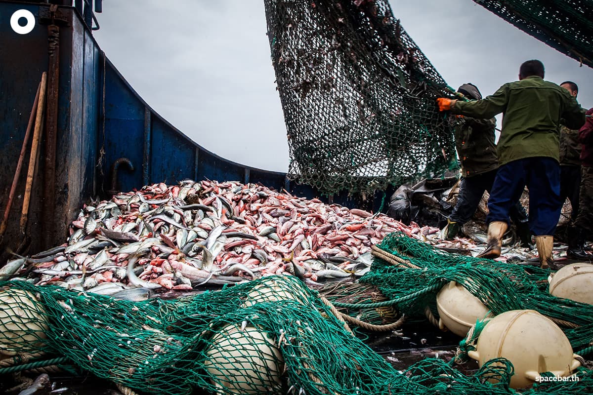 sustainability-world-begins-high-seas-treaty-close-international-waters-gap-SPACEBAR-Photo01.jpg
