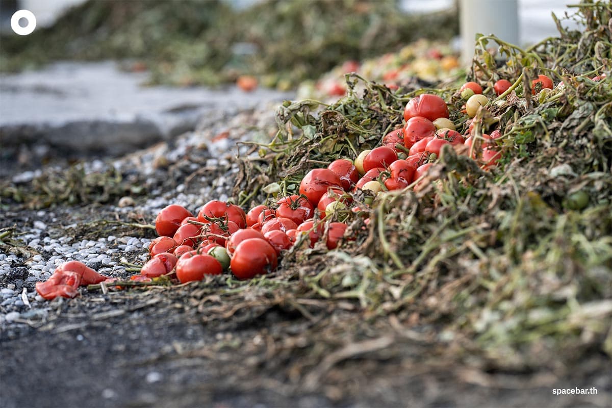 sustainability_rising_heat_fuels_more_food_poisoning_cases_SPACEBAR_Photo03_d23cc874cf.jpg