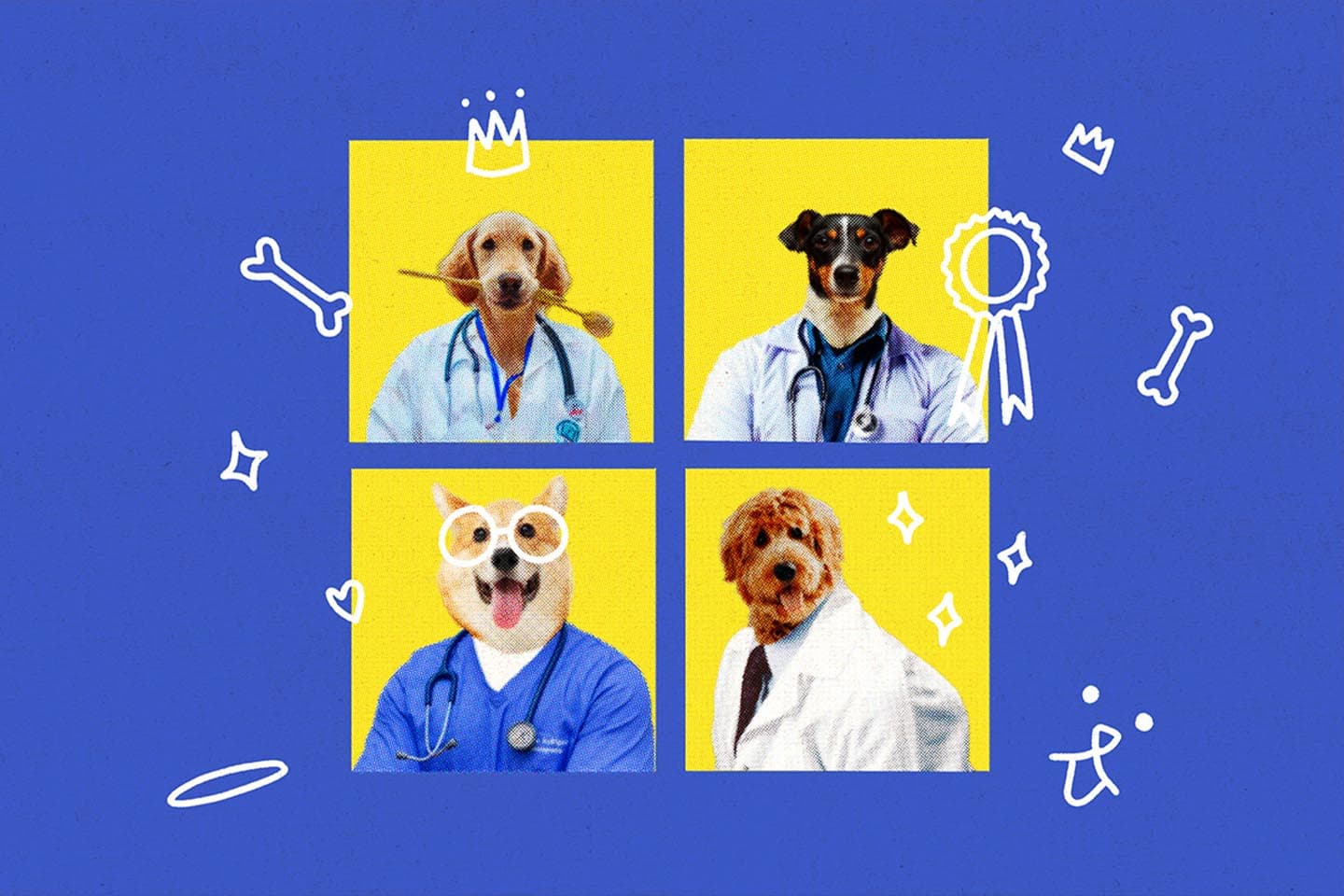 therapy_dogs_Main_1_9130891b02.jpeg