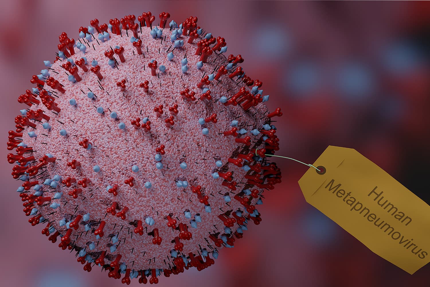 what_is_hmpv_china_steps_up_emergency_measures_new_virus_outbreak_SPACEBAR_Hero_b50620872d.jpg