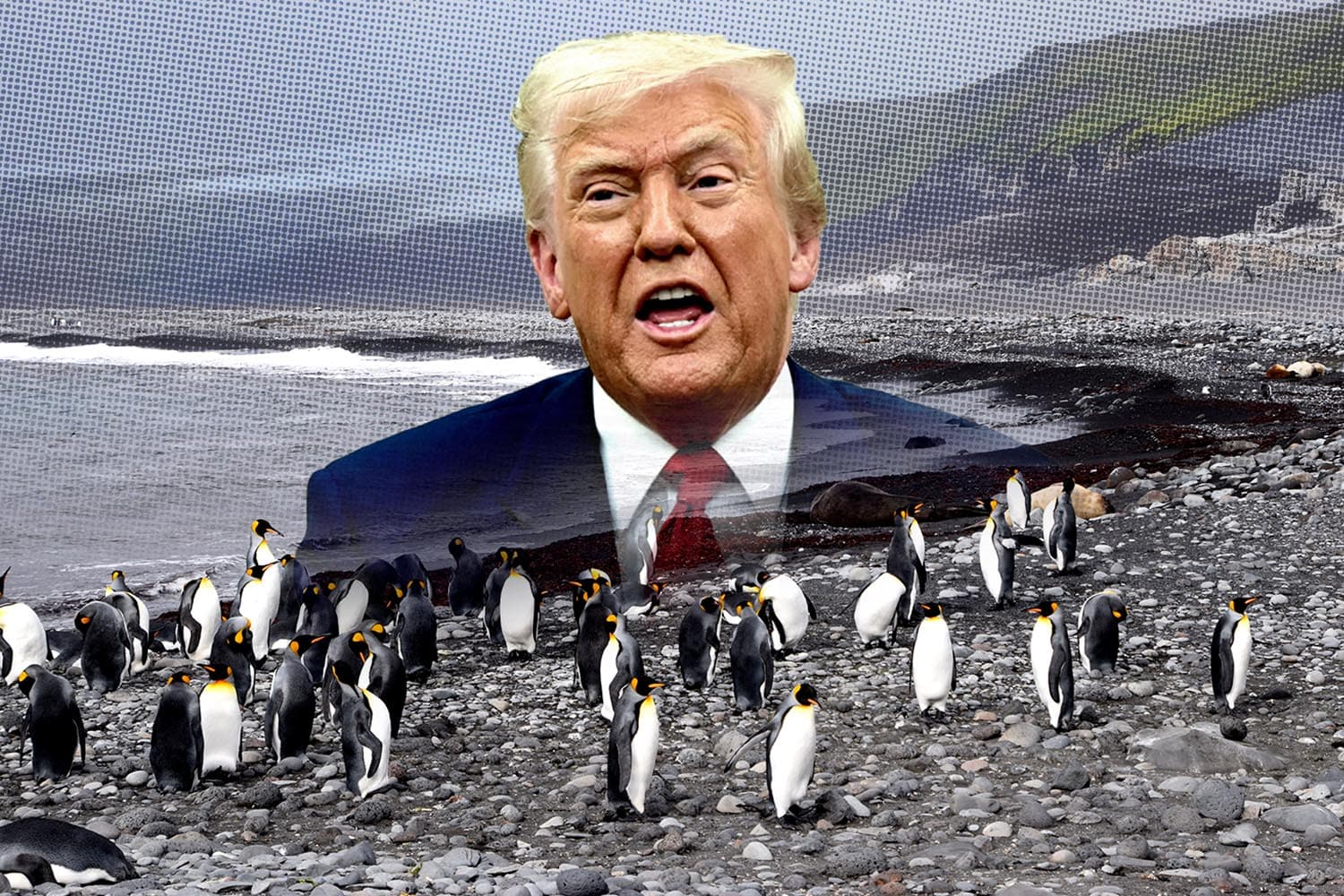 why_donald_trump_put_tariffs_on_island_inhabited_by_only_penguins_SPACEBAR_Hero_ff9358954b.jpg