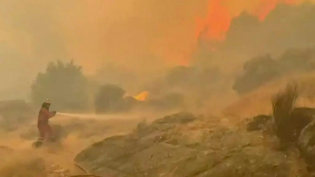 wildfire-spain-france-evacuation-eu-support-1.jpeg