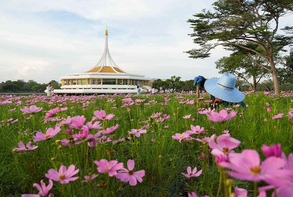 Beautiful-Flowers-Suan-Luang-Rama-9-2022-SPACEBAR-Thumbnail