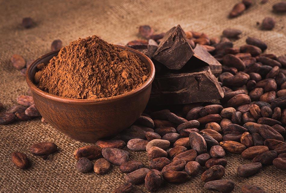 DITP-economy-cocoa-products-export-india-SPACEBAR-Thumbnail