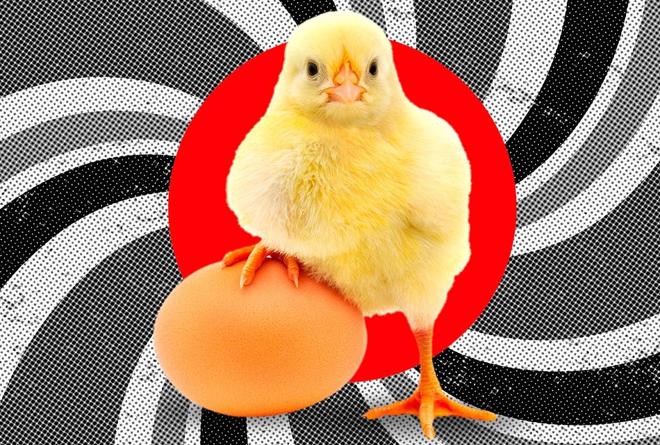 Egg-Chicken-Which-came-first-SPACEBAR-Thumbnail.jpg