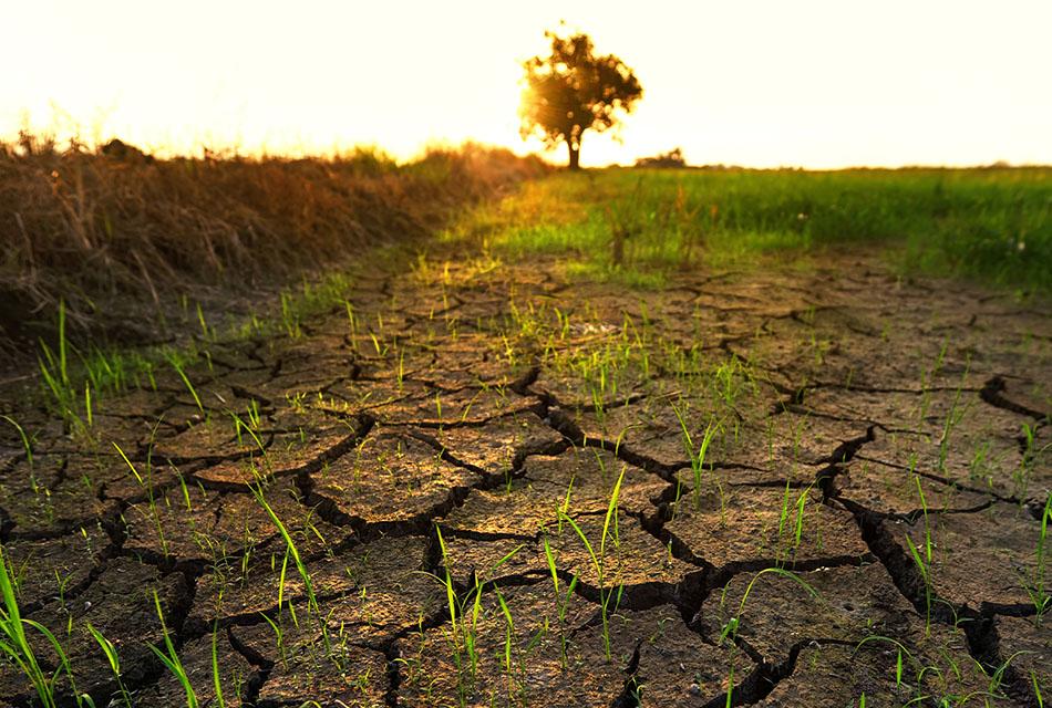 MOC-Jurin-drought-war-room-El-Nino-thai-rice-agriculture-SPACEBAR-Thumbnail