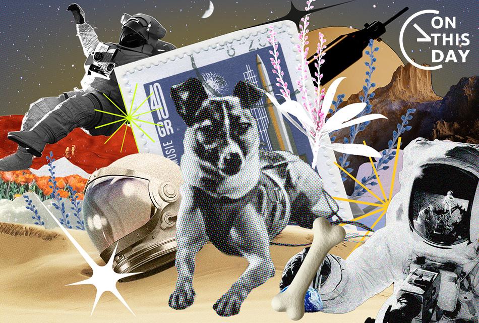 On-This-Day-Laika-The-Dog-From-Earth-To-Space-SPACEBAR-Thumbnail.jpg