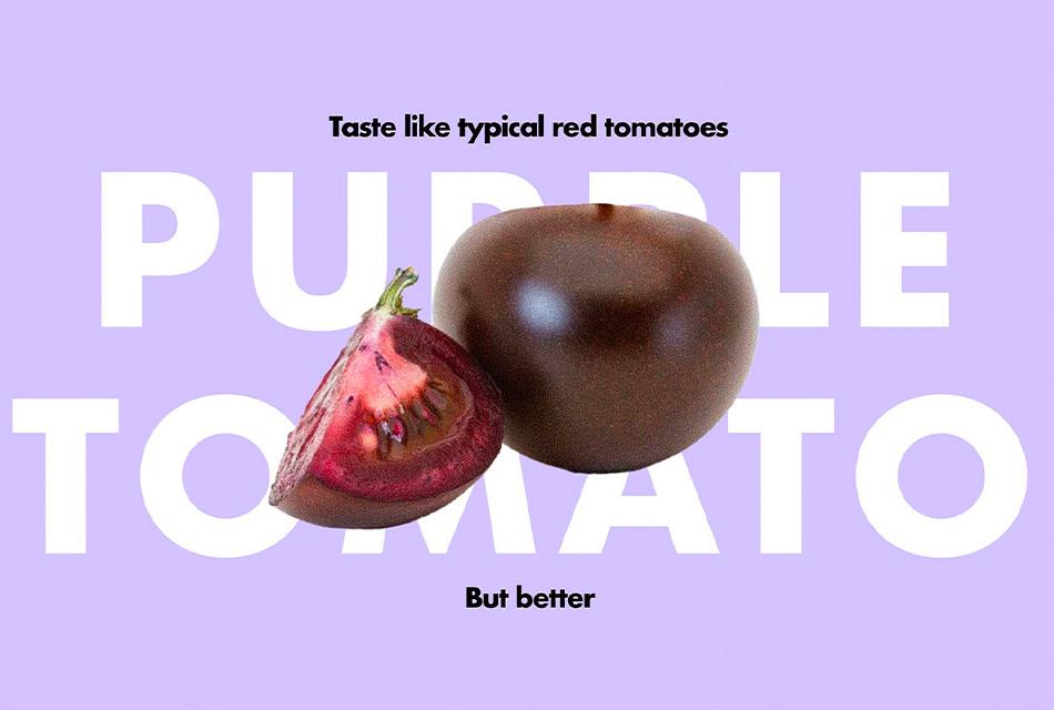 Purple-tomato-SPACEBAR-Thumbnail