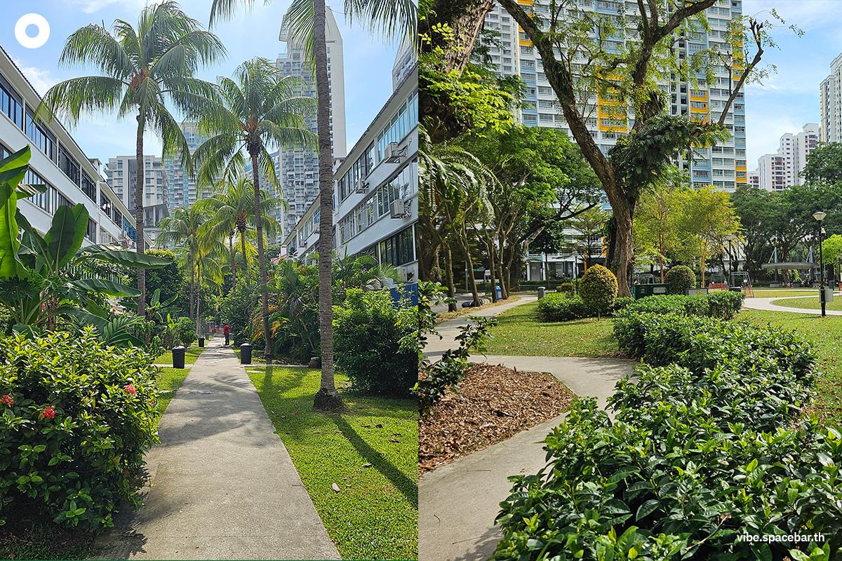 Why-Singapore-is-a-green-city-SPACEBAR-Photo04.jpg