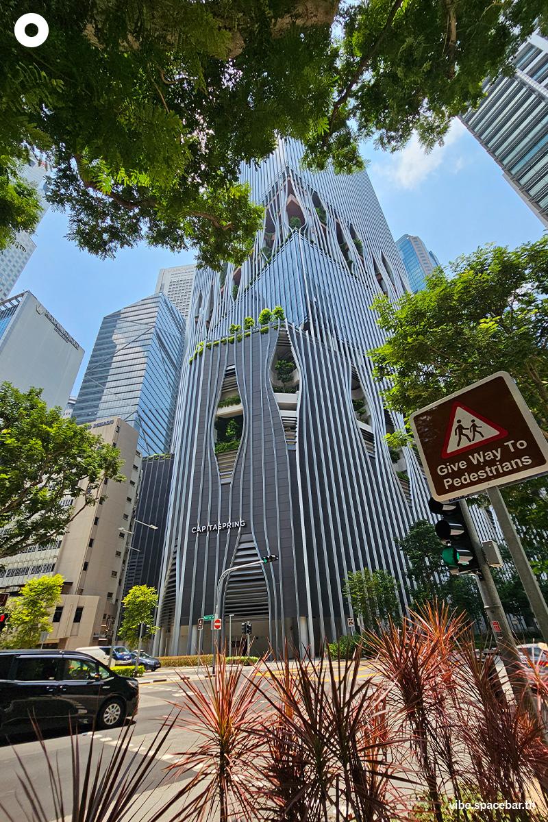Why-Singapore-is-a-green-city-SPACEBAR-Photo V01.jpg