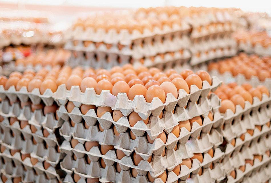 chicken-eggs-increase-price-6-baht-per-pack-today-SPACEBAR-Thumbnail.jpg