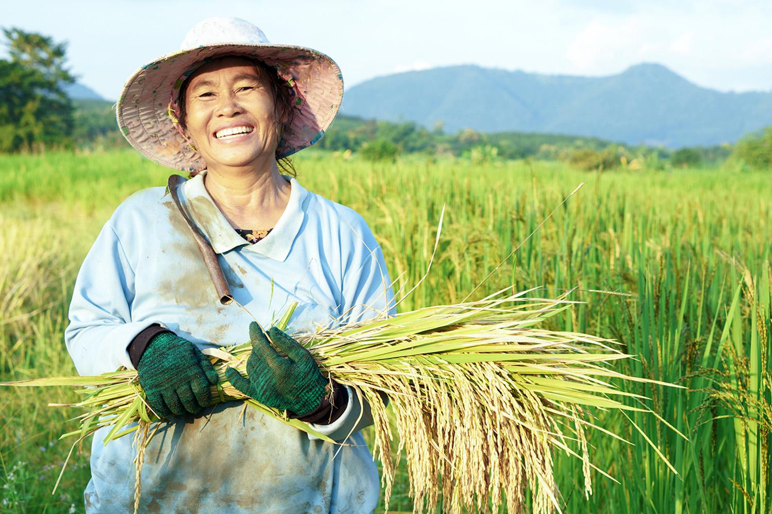 economic-farmer-paddy-ricefield-SPACEBAR-Hero.jpg