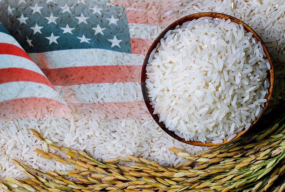 economy-usa-rice-market-thai-SPACEBAR-Thumbnail.jpg