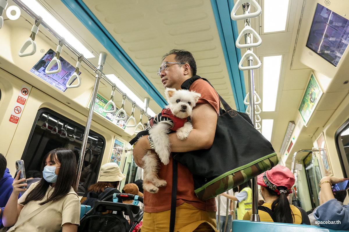       ผู้โดยสารคนหนึ่งกำลังอุ้มน้องหมาขณะอยู่บนรถไฟใต้ดิน (Taipei Mass Rapid Transit / MRT) ที่อนุญาตให้เจ้าคู่หูเพื่อนซี้สี่ขาขึ้นได้ (pet-friendly train) ในไทเป ไต้หวัน เมื่อวันที่ 31 มีนาคม 2024 (Photo by I-Hwa CHENG / AFP)
