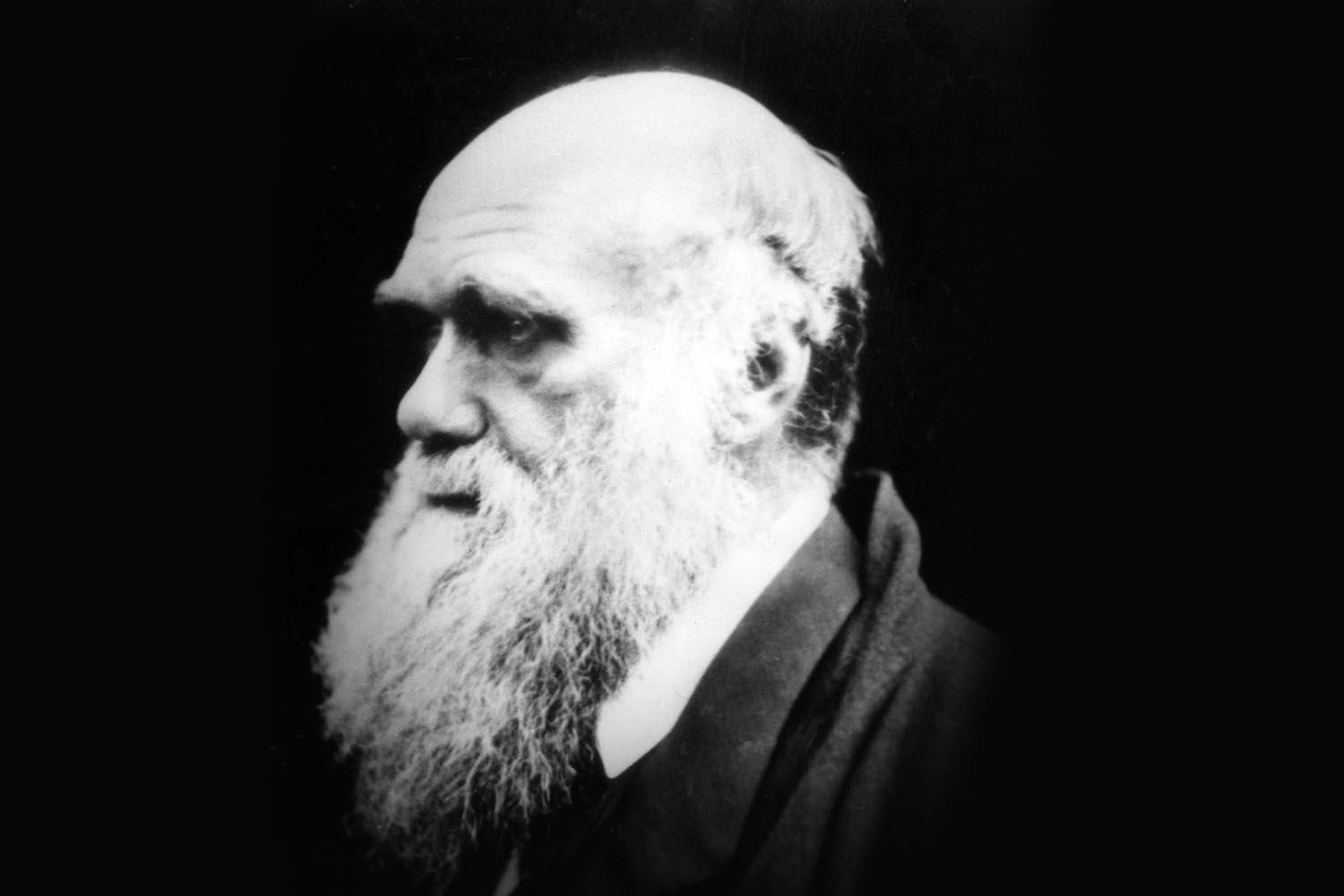 researchers-reveal-lost-library-of-charles-darwin-for-the-first-time-SPACEBAR-Hero (1).jpg