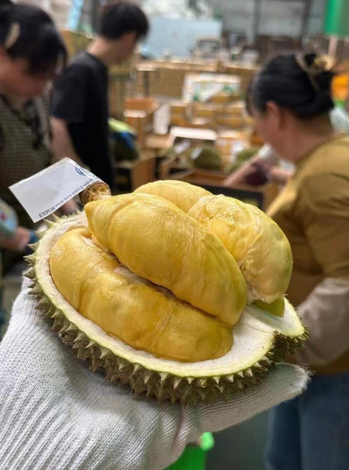 thailand-durian-china-vietnam-SPACEBAR-Photo02.jpg