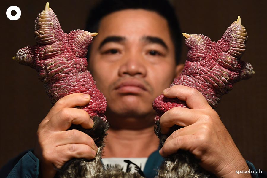 Dong_Tao_chicken_Hung_Yen_vietnam_Lunar_New_Year_SPACEBAR_Photo02_14e9bd1ef3.jpeg