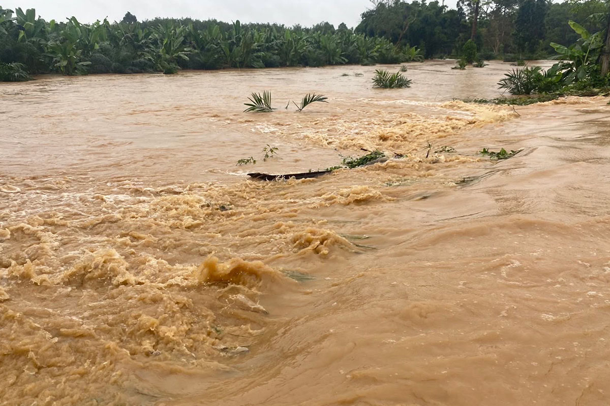 Flood_situation_in_southern_region_Nakhon_Surat_Thani_SPACEBAR_Photo01_e85df5e7ee.jpg