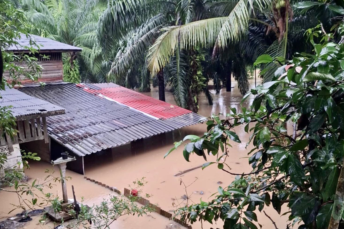 Flood_situation_in_southern_region_Nakhon_Surat_Thani_SPACEBAR_Photo02_8c367e78d0.jpg