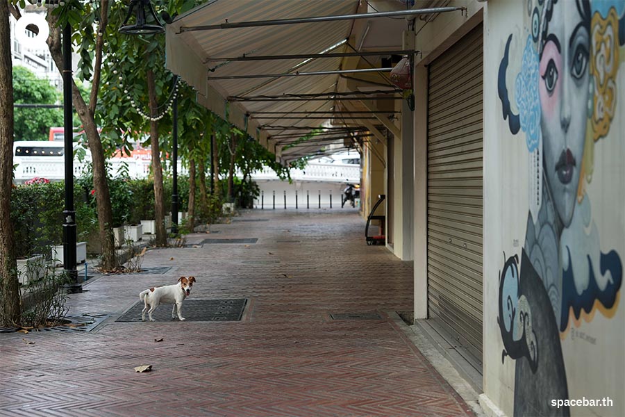 Ong_Ang_Canal_Chadchart_Aswinkwanmuang_Prayut_2020_Asian_Townscape_Award_SPACEBAR_Photo17_12cdc654a7.jpeg