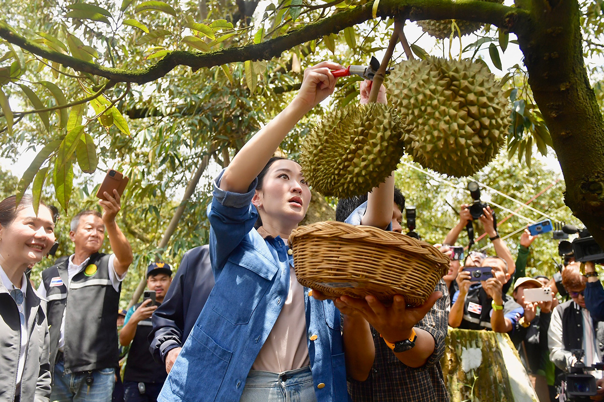 Paetongtarn-visits-durian-orchard-in-Chanthaburi-SPACEBAR-Photo01.jpg